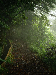 Vereda do Pico Ruivo