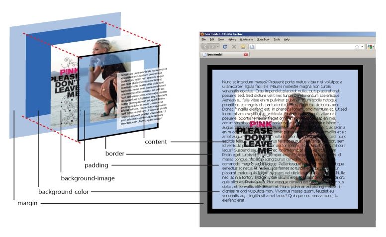 anatomia do box model