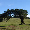 fotografia